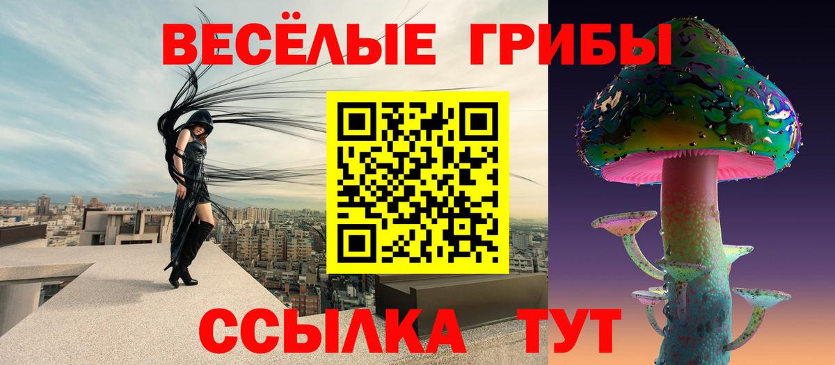 Псилоцибиновые грибы GOLDEN TEACHER  Вход с VPN  Шадринск  Галлюциногенные грибы Magic Shrooms 